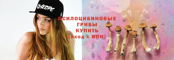 дмт Нефтекумск